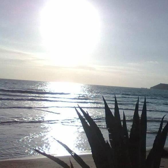 Mansardina Sassu Leilighet Alghero Rom bilde